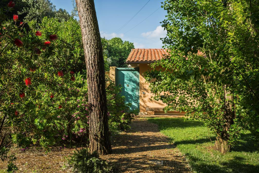 Agriturismo Valle Del Marta Таркиния Екстериор снимка
